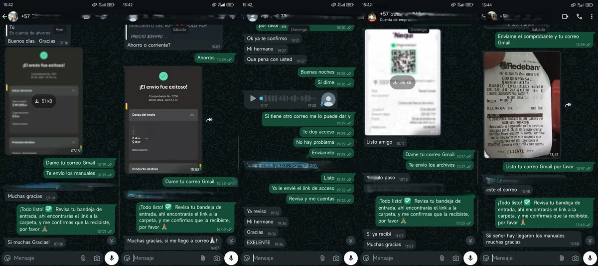 Testimonio 4